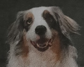 Image of Gryphy, the inspiration behind Gryphy's Cookie Jar